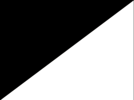 Drapeau Noir et Blanc